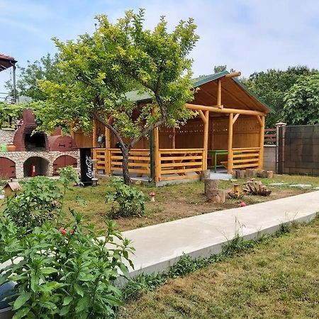 Appartamento Casa Calin Vama Veche Esterno foto