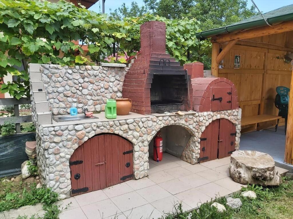 Appartamento Casa Calin Vama Veche Esterno foto