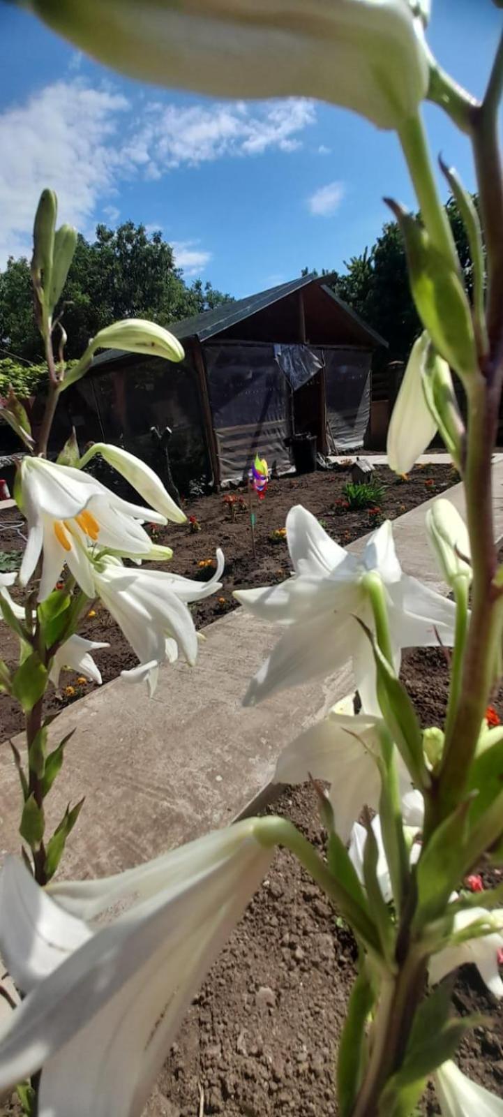 Appartamento Casa Calin Vama Veche Esterno foto