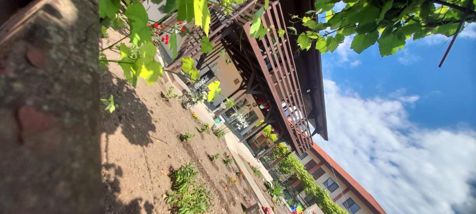 Appartamento Casa Calin Vama Veche Esterno foto
